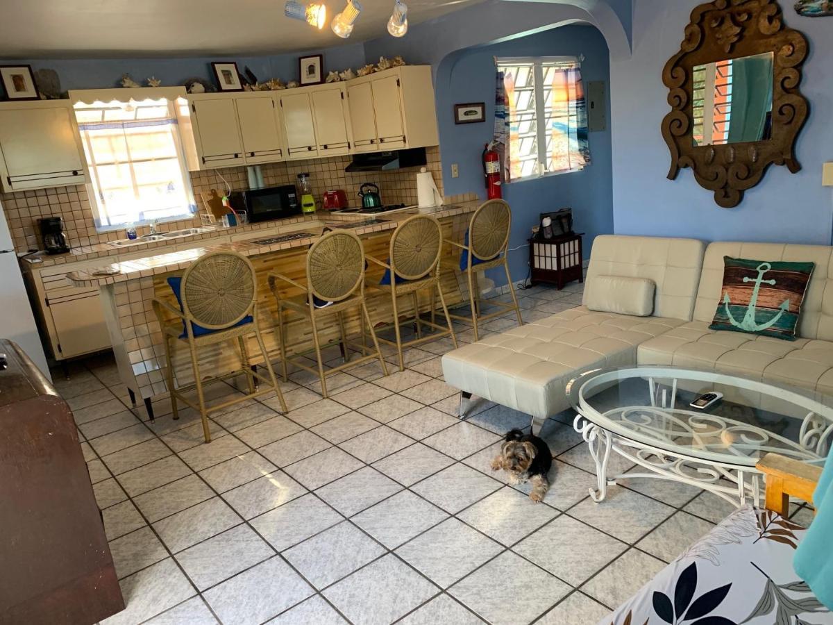 Esperanza Inn Guesthouse (Adults Only) بييكيس المظهر الخارجي الصورة
