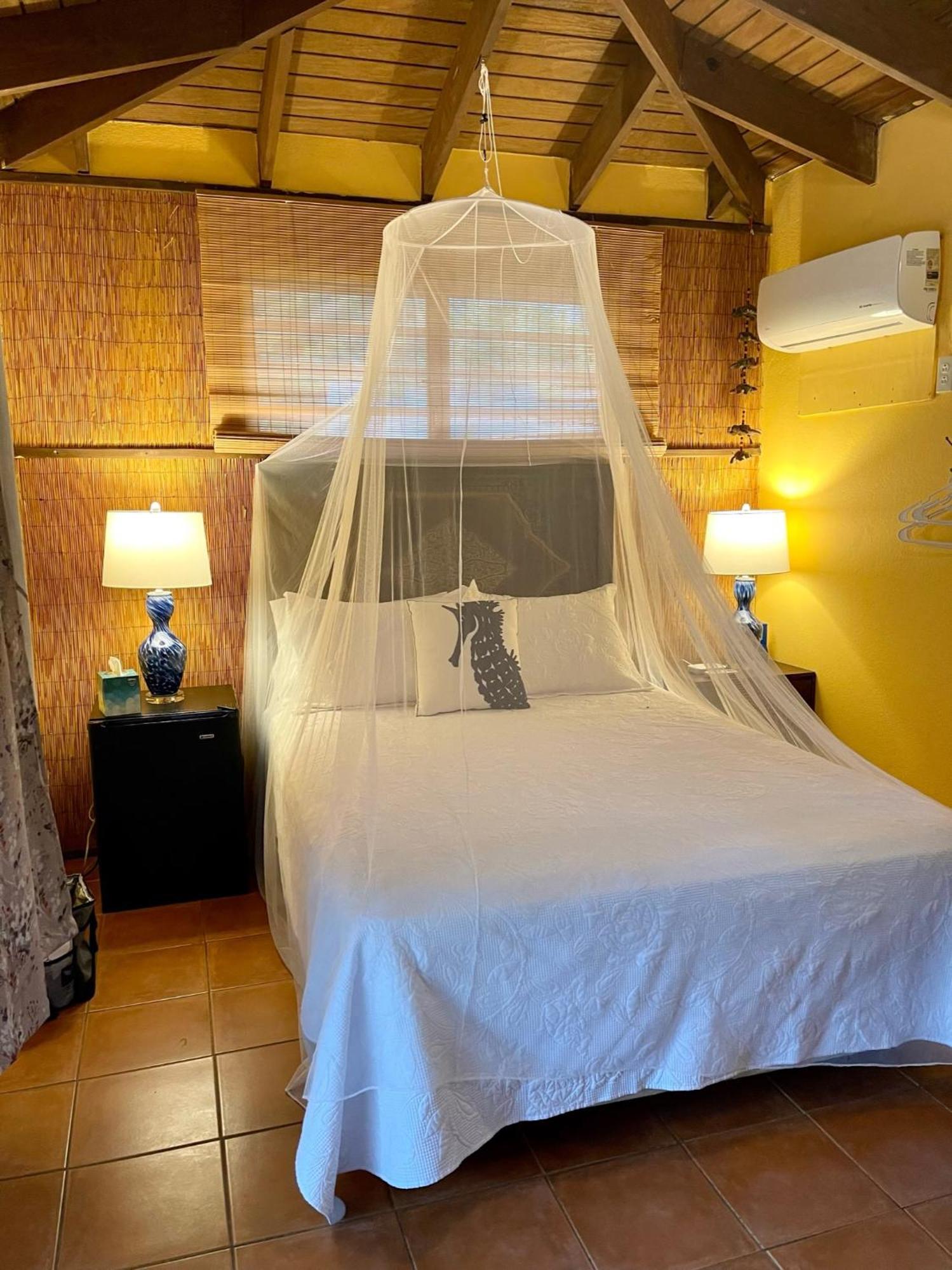 Esperanza Inn Guesthouse (Adults Only) بييكيس الغرفة الصورة