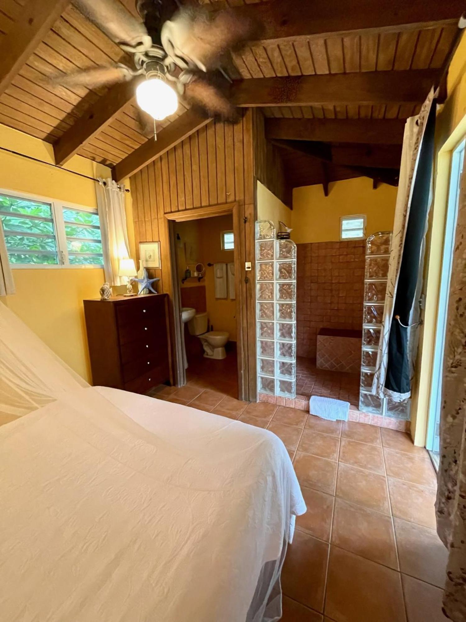 Esperanza Inn Guesthouse (Adults Only) بييكيس الغرفة الصورة