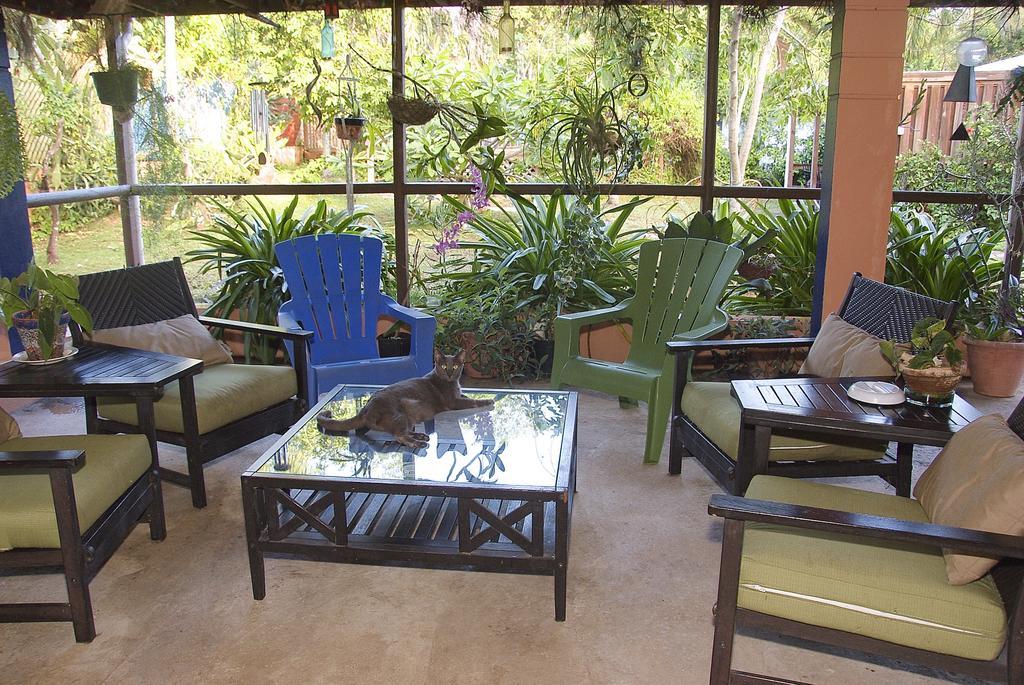 Esperanza Inn Guesthouse (Adults Only) بييكيس المظهر الخارجي الصورة